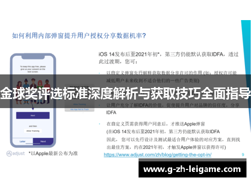 金球奖评选标准深度解析与获取技巧全面指导